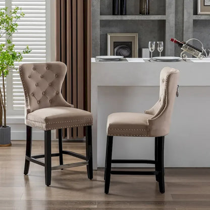 Carter 24 Wingback Tufted Nailhead Counter Stool (Set of 2)