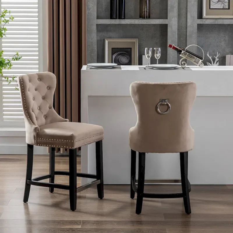 Carter 24 Wingback Tufted Nailhead Counter Stool (Set of 2)