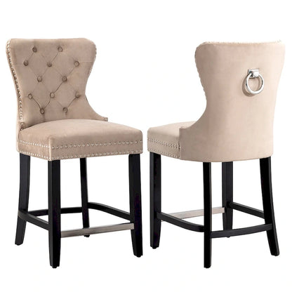 Carter 24 Wingback Tufted Nailhead Counter Stool (Set of 2)