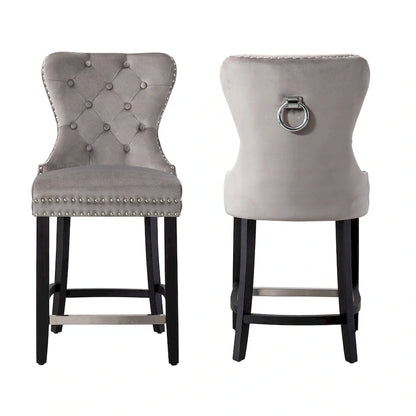 Carter 24 Wingback Tufted Nailhead Counter Stool (Set of 2)