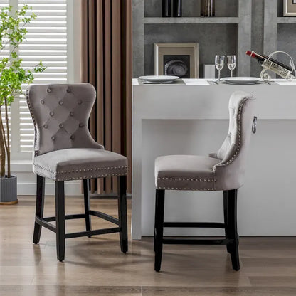 Carter 24 Wingback Tufted Nailhead Counter Stool (Set of 2)