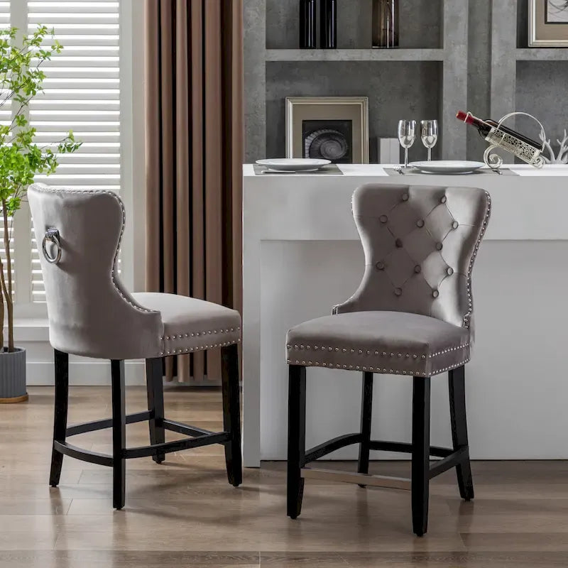 Carter 24 Wingback Tufted Nailhead Counter Stool (Set of 2)