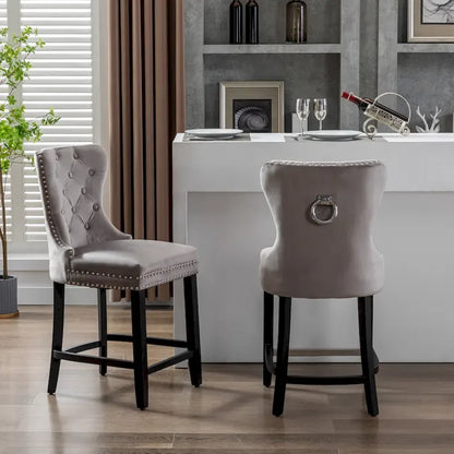 Carter 24 Wingback Tufted Nailhead Counter Stool (Set of 2)