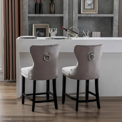 Carter 24 Wingback Tufted Nailhead Counter Stool (Set of 2)