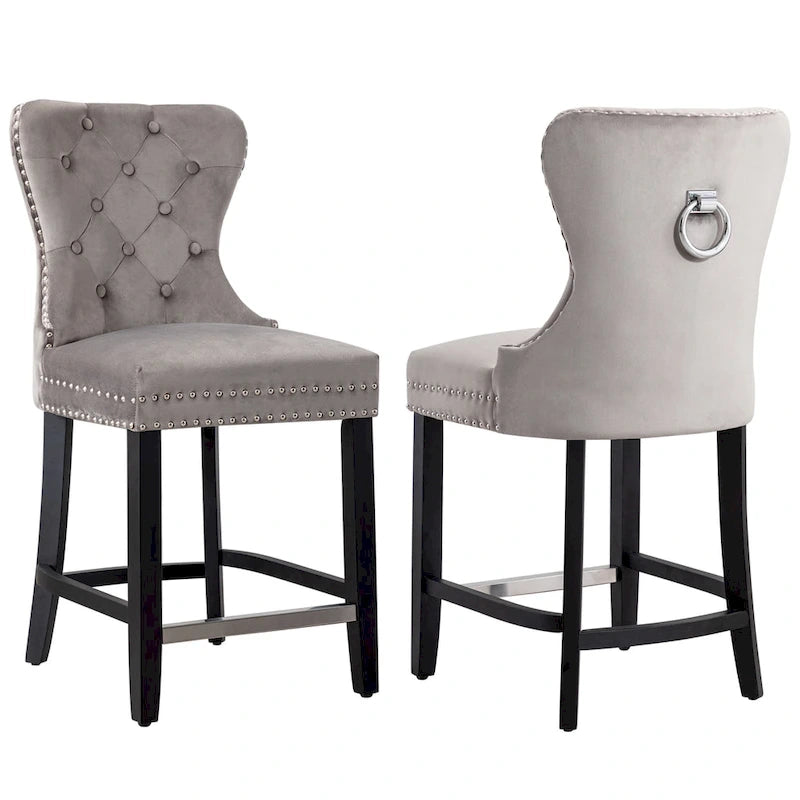 Carter 24 Wingback Tufted Nailhead Counter Stool (Set of 2)