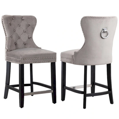 Carter 24 Wingback Tufted Nailhead Counter Stool (Set of 2)