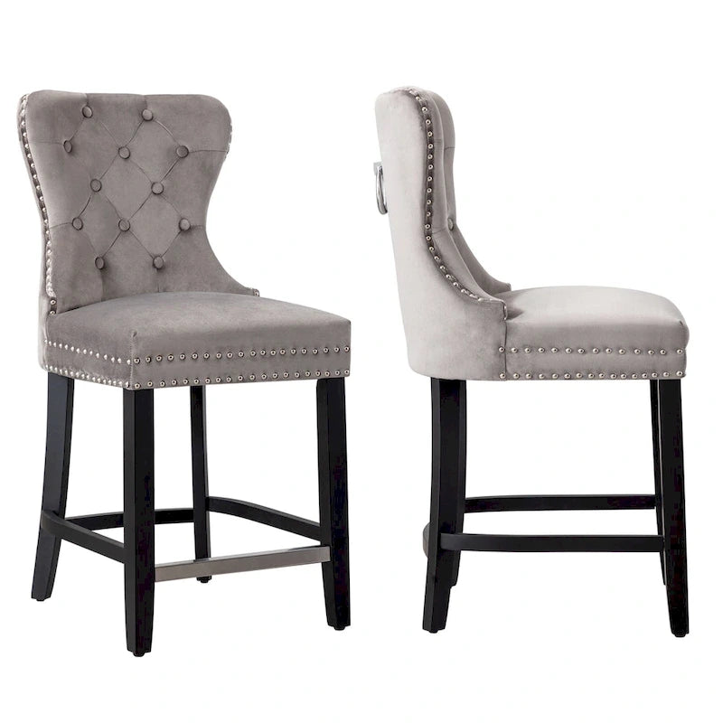 Carter 24 Wingback Tufted Nailhead Counter Stool (Set of 2)