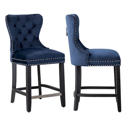 Carter 24 Wingback Tufted Nailhead Counter Stool (Set of 2)