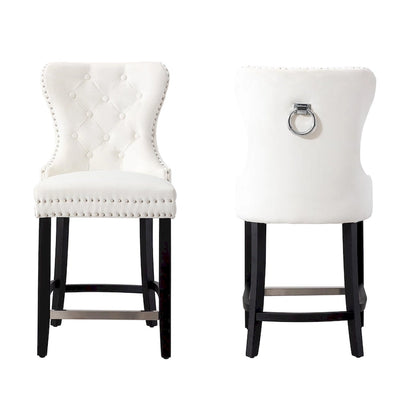 Carter 24 Wingback Tufted Nailhead Counter Stool (Set of 2)